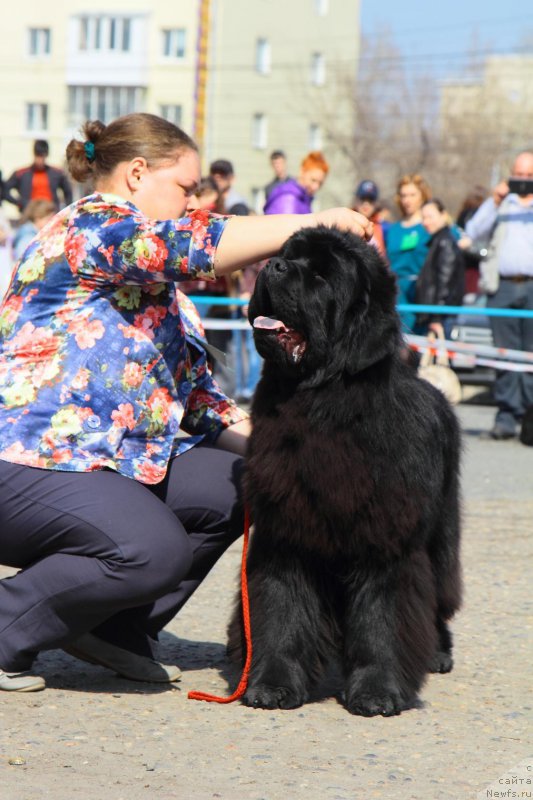 Фотография № 205539