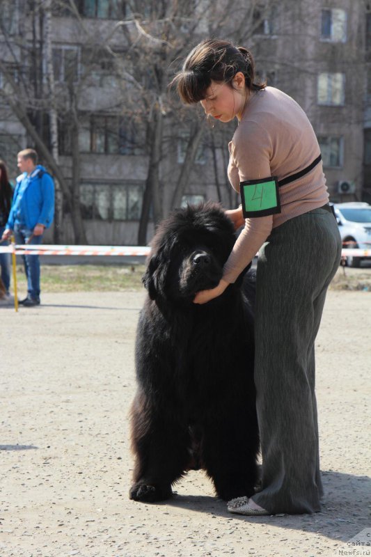 Фотография № 205540