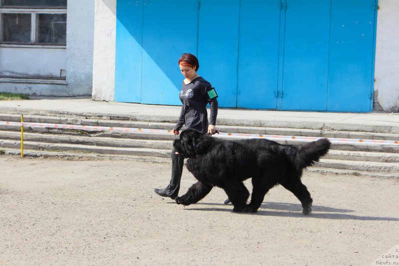 Фотография № 205541