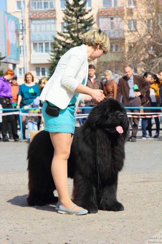 Фотография № 205542