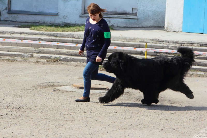 Фотография № 205544