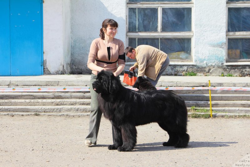 Фотография № 205545