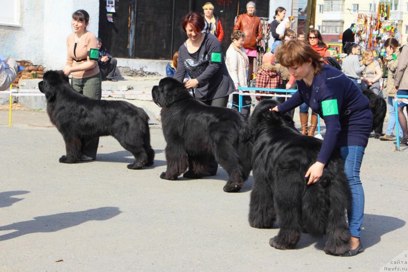 Фотография № 205546