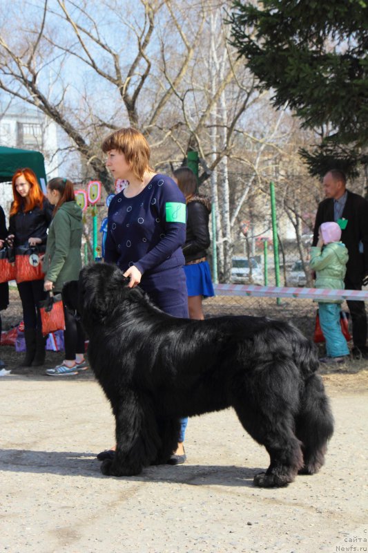 Фотография № 205547