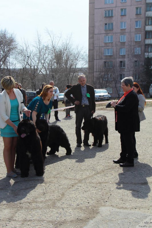 Фотография № 205556