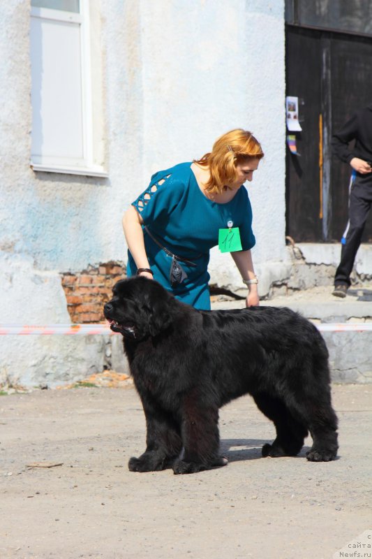 Фотография № 205558