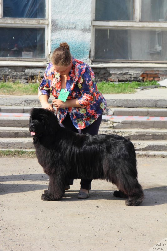 Фотография № 205563