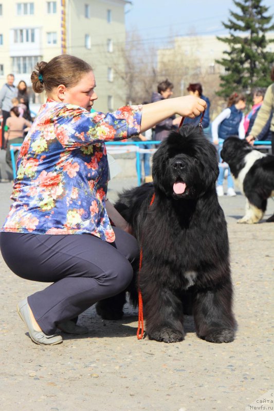 Фотография № 205564