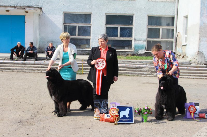 Фотография № 205565