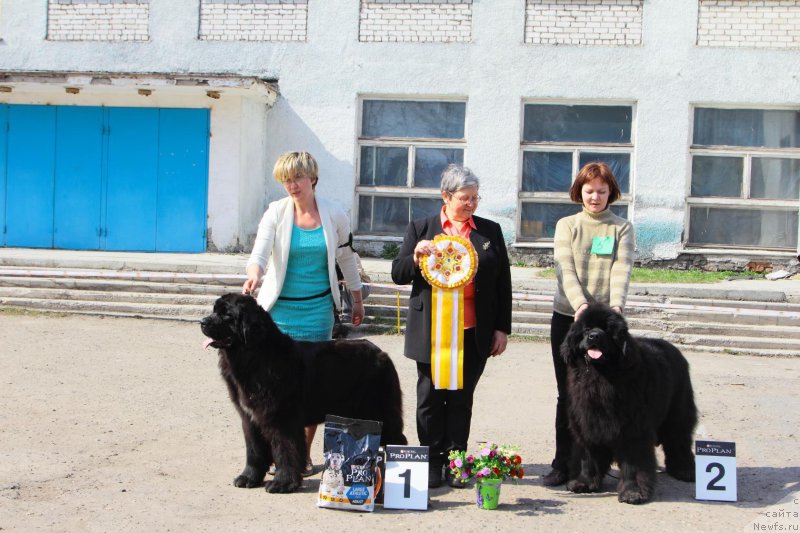 Фотография № 205566