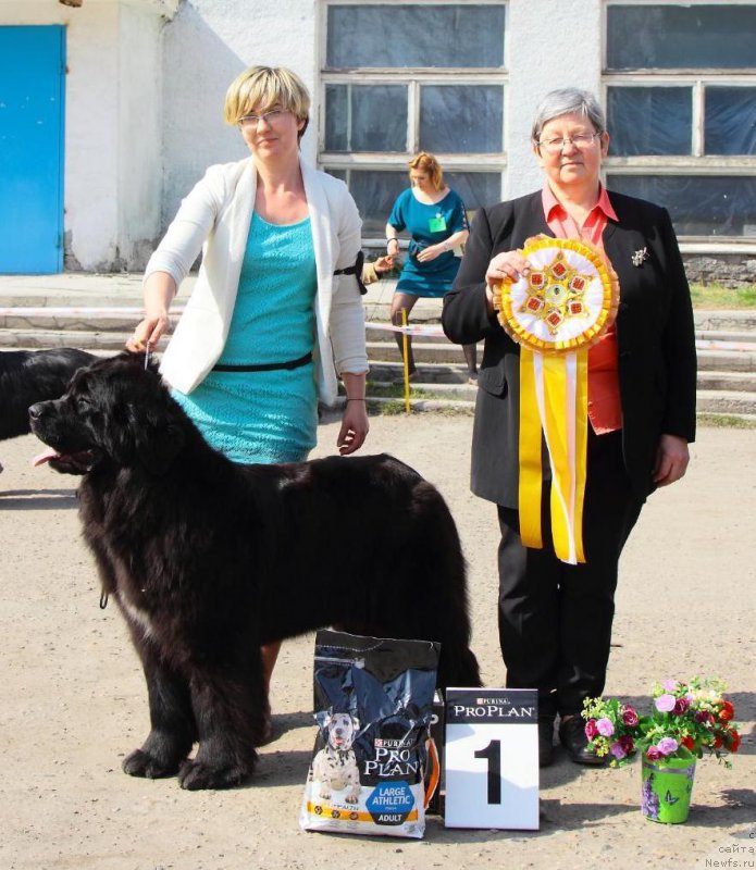 Фотография № 205567