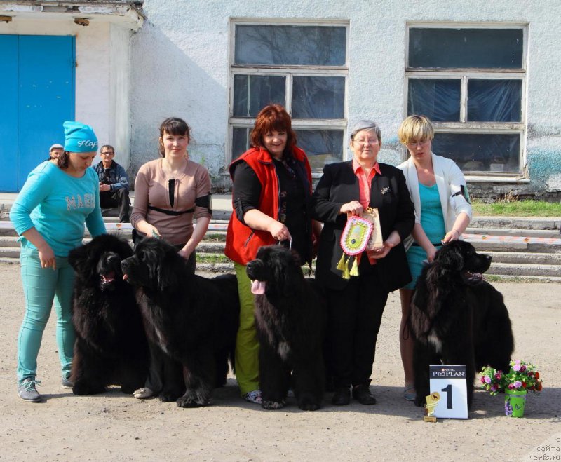 Фотография № 205570