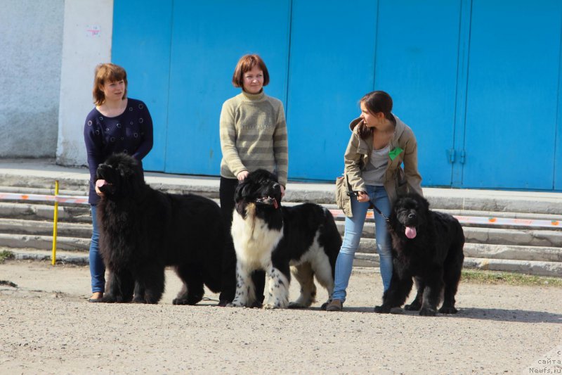 Фотография № 205571