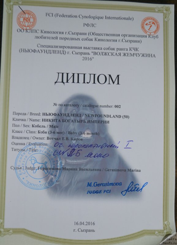 Фотография № 205581