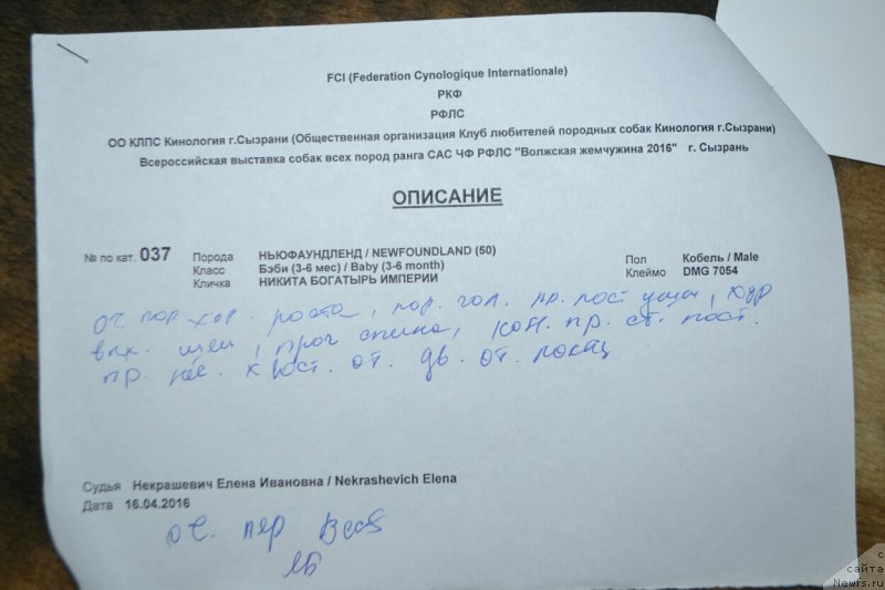 Фотография № 205583