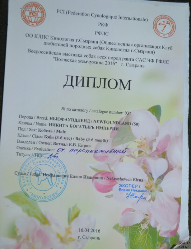 Фотография № 205584