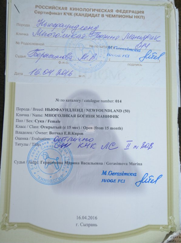 Фотография № 205592