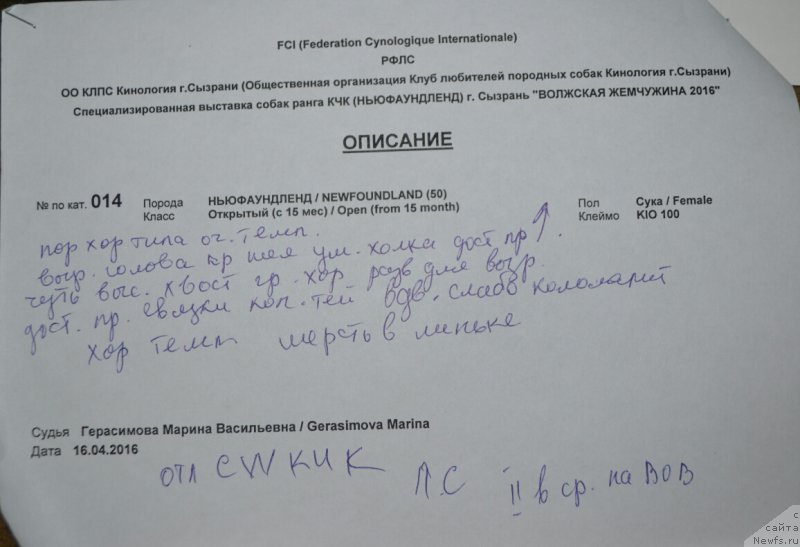 Фотография № 205593