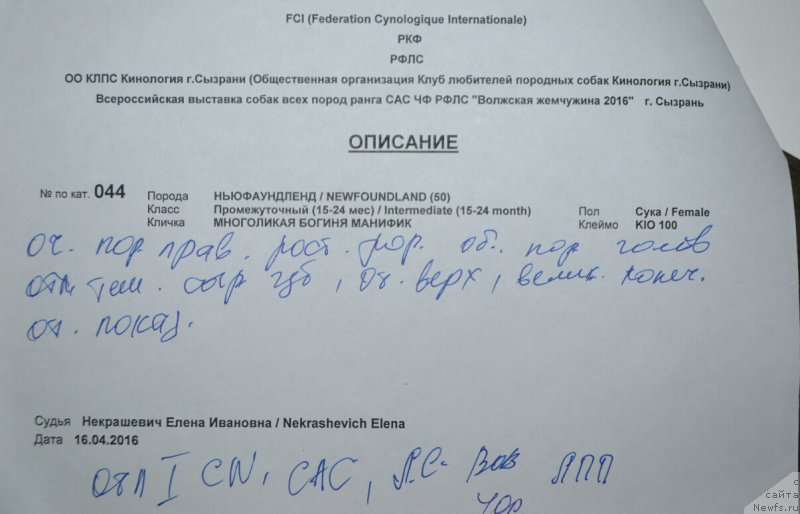 Фотография № 205594