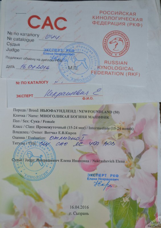 Фотография № 205595