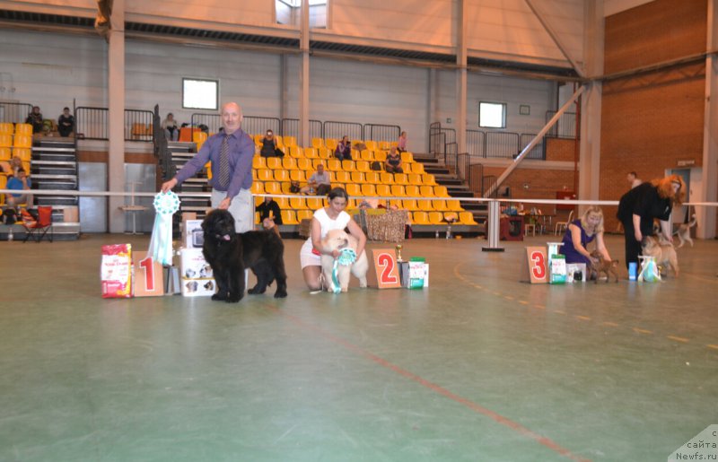 Фотография № 205597