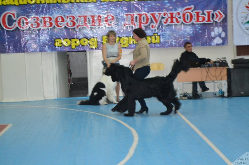 Фотография № 205598