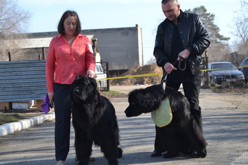 Фотография № 205599