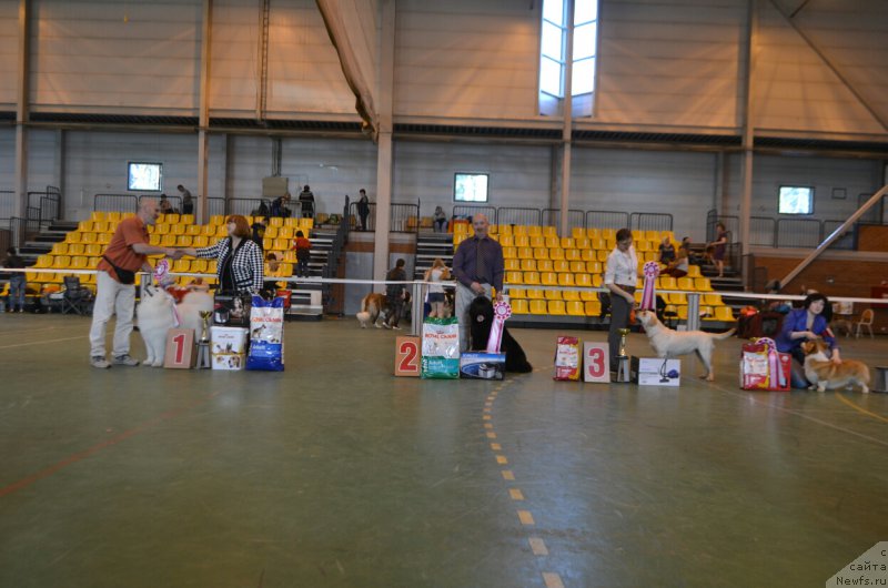 Фотография № 205600