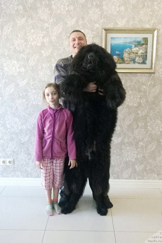 Фотография № 205609