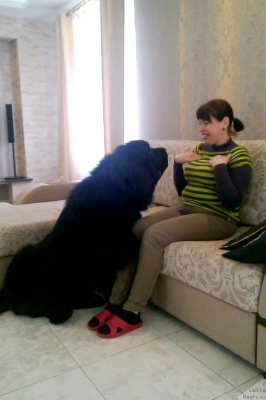 Фотография № 205611