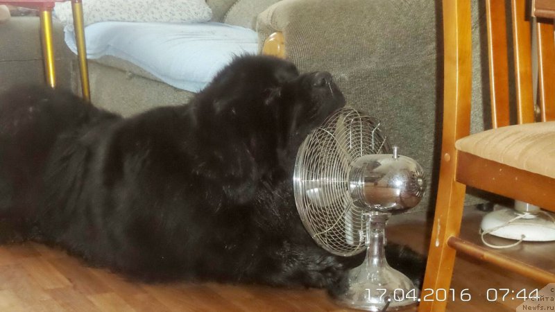 Фотография № 205633