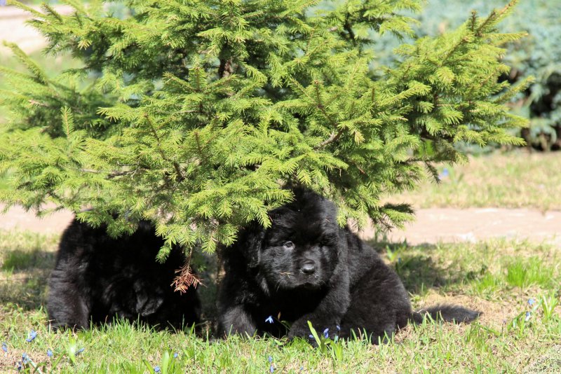 Фотография № 205654