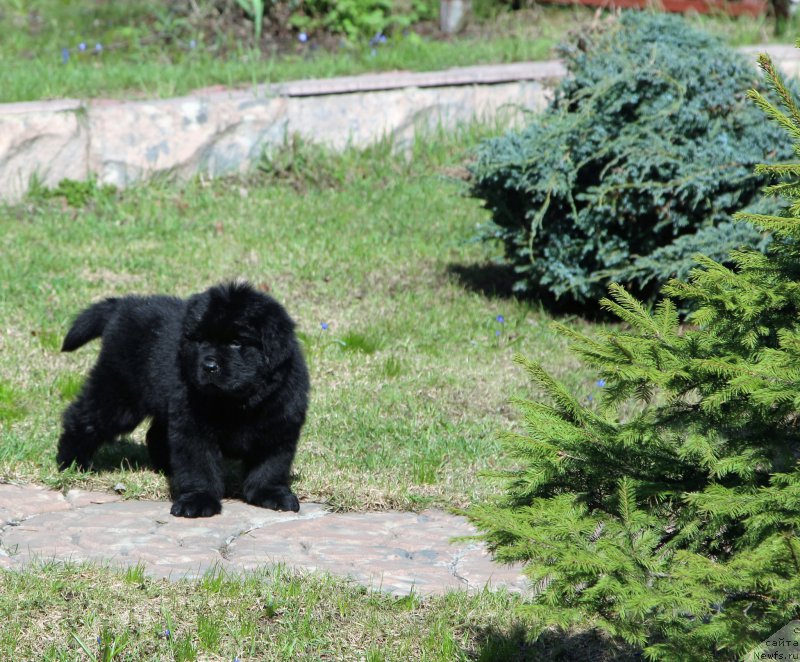 Фотография № 205655