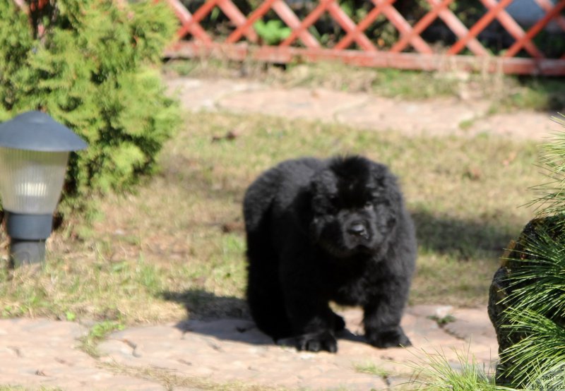 Фотография № 205658