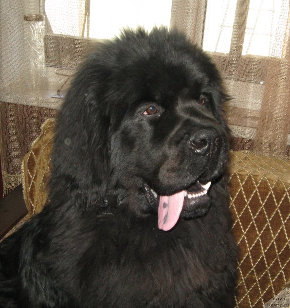 Фотография № 205661