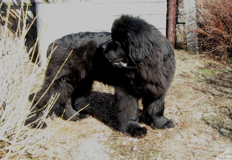 Фотография № 205667