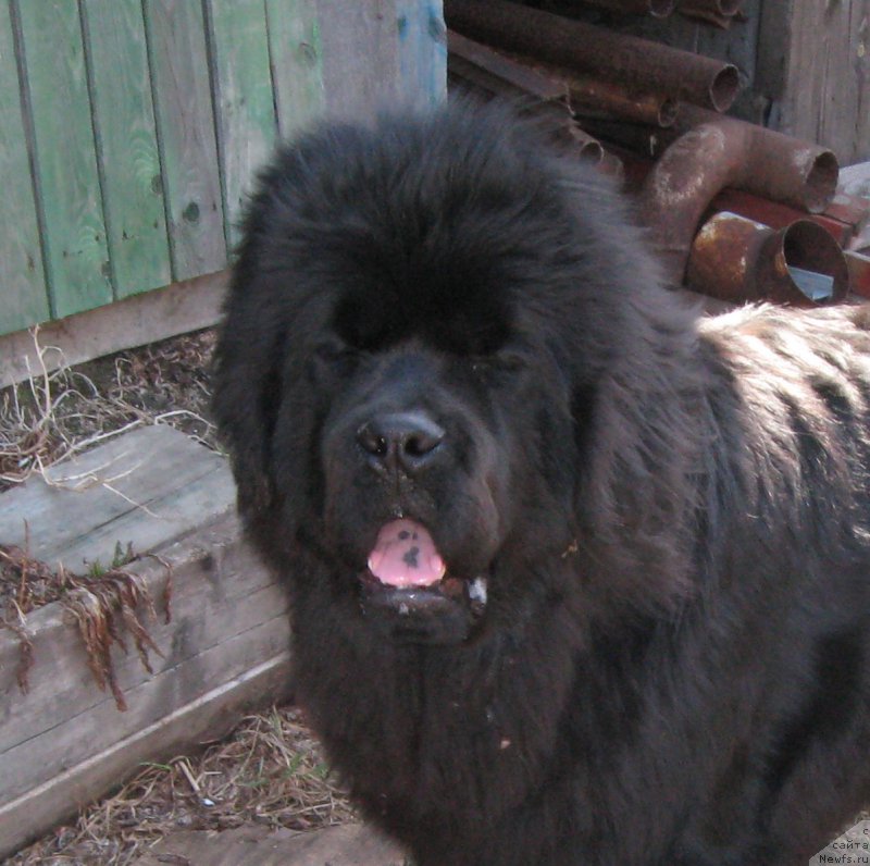 Фотография № 205668