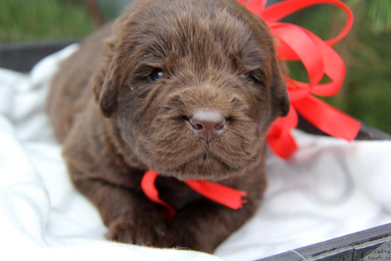 Фотография № 205702