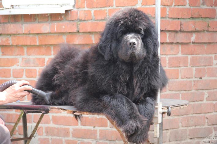 Фотография № 205711