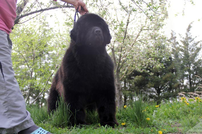 Фотография № 205714