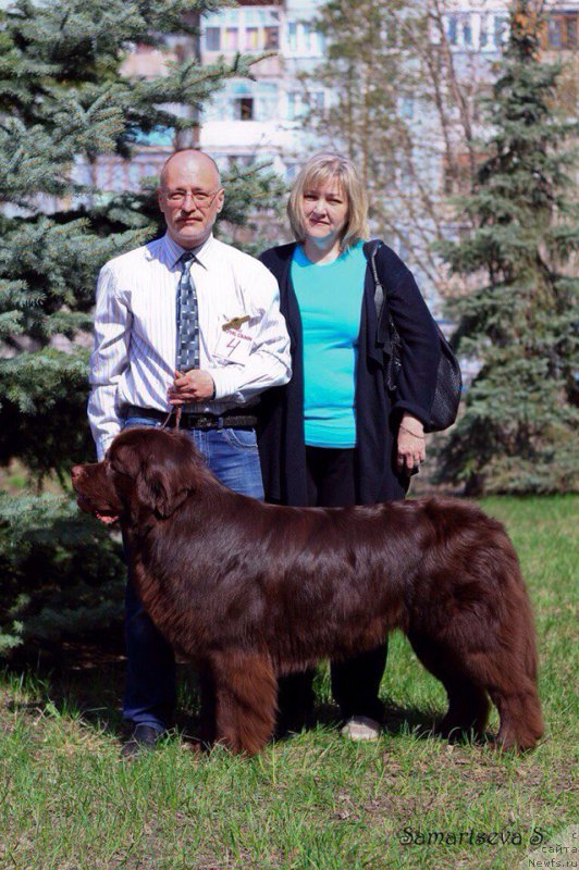 Фотография № 205731