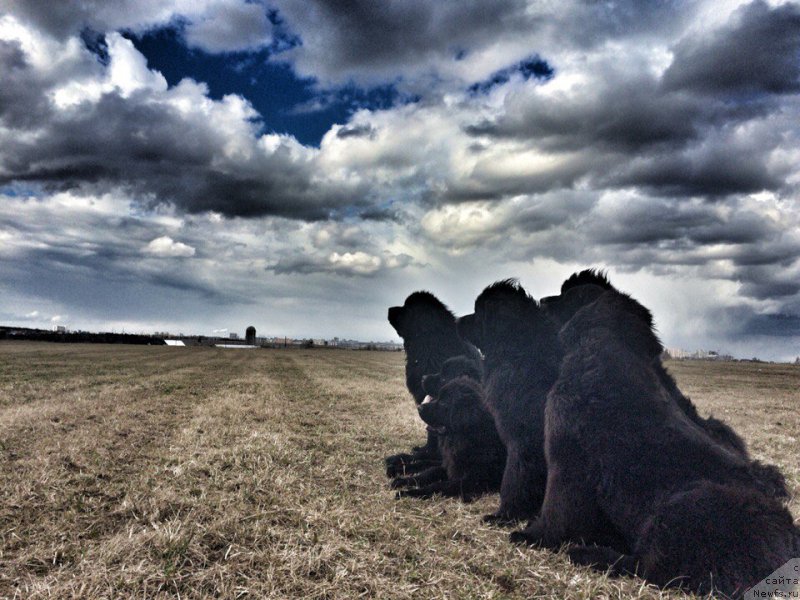 Фотография № 205744