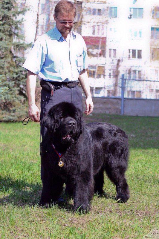 Фотография № 205745