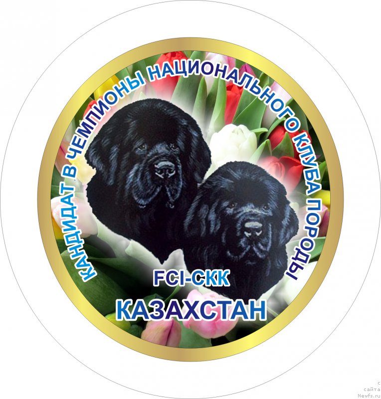 Фотография № 205767