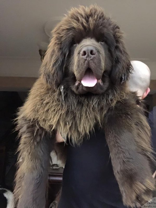 Фотография № 205768