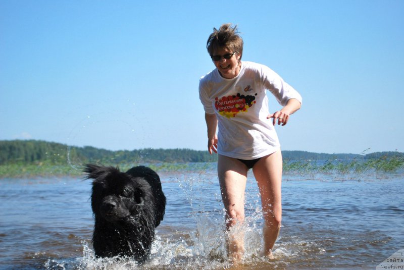 Фото: ньюфаундленд Бегущая по Волнам Лет ит Бе