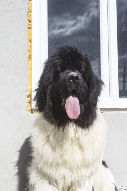 Фотография № 205807