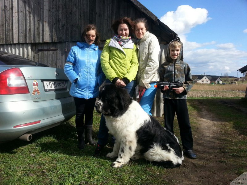 Фотография № 205808