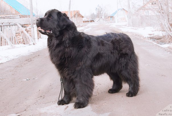 Фотография № 205809