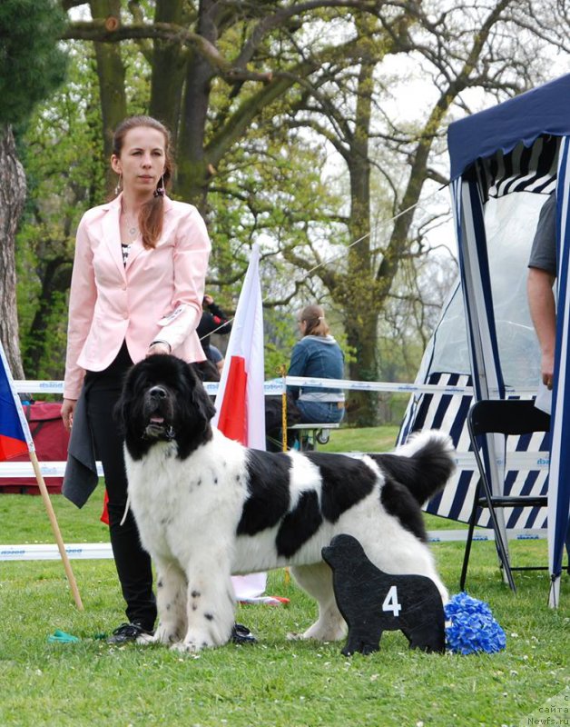 Фотография № 205815